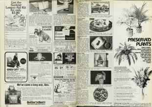 Better Homes & Gardens November 1980 Magazine Article: Page 226