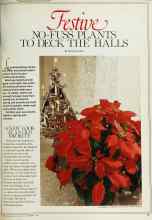 Better Homes & Gardens December 1980 Magazine Article: Festive NO-FUSS PLANTS TO DECK THE HALLS