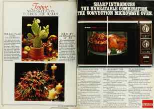 Better Homes & Gardens December 1980 Magazine Article: Page 18