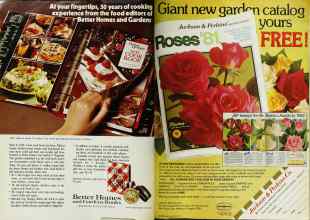 Better Homes & Gardens December 1980 Magazine Article: Page 28