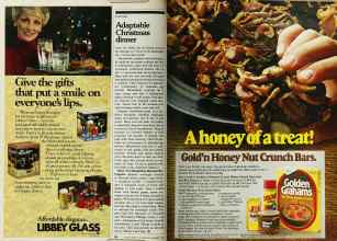 Better Homes & Gardens December 1980 Magazine Article: Page 102