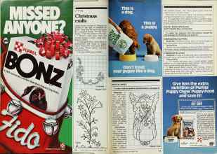 Better Homes & Gardens December 1980 Magazine Article: Page 138