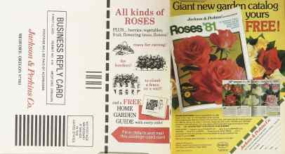 Better Homes & Gardens January 1981 Magazine Article: Page 26