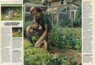 Better Homes & Gardens January 1981 Magazine Article: Page 38