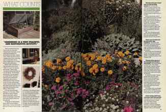 Better Homes & Gardens January 1981 Magazine Article: Page 40