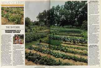 Better Homes & Gardens January 1981 Magazine Article: Page 52