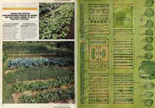 Better Homes & Gardens January 1981 Magazine Article: Page 54