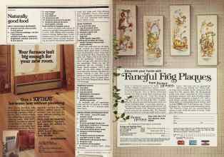 Better Homes & Gardens January 1981 Magazine Article: Page 72