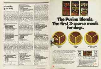 Better Homes & Gardens January 1981 Magazine Article: Page 74