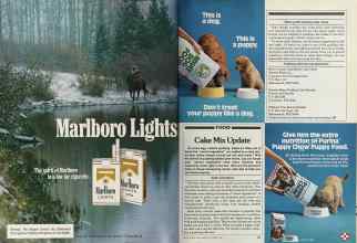 Better Homes & Gardens January 1981 Magazine Article: Page 84