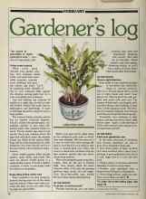 Better Homes & Gardens February 1981 Magazine Article: Gardener's log