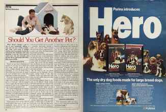 Better Homes & Gardens February 1981 Magazine Article: Page 72