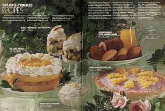 Better Homes & Gardens February 1981 Magazine Article: Page 116