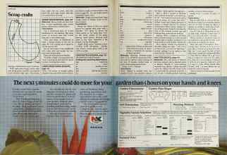 Better Homes & Gardens February 1981 Magazine Article: Page 146