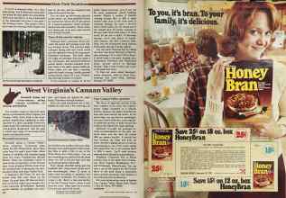 Better Homes & Gardens February 1981 Magazine Article: Page 160
