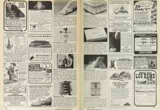 Better Homes & Gardens February 1981 Magazine Article: Page 172