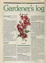 Better Homes & Gardens March 1981 Magazine Article: Gardener's log