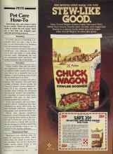 Better Homes & Gardens March 1981 Magazine Article: Pet Care How-To