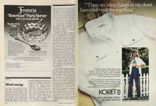 Better Homes & Gardens March 1981 Magazine Article: Page 30