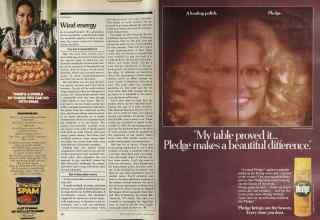 Better Homes & Gardens March 1981 Magazine Article: Page 32