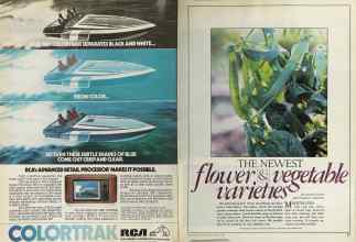 Better Homes & Gardens March 1981 Magazine Article: Page 36