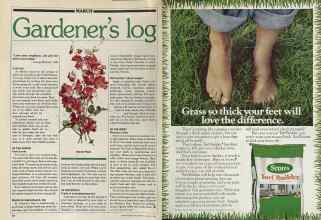 Better Homes & Gardens March 1981 Magazine Article: Page 48