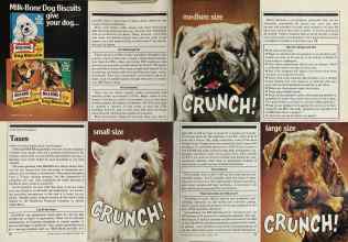 Better Homes & Gardens March 1981 Magazine Article: Page 70