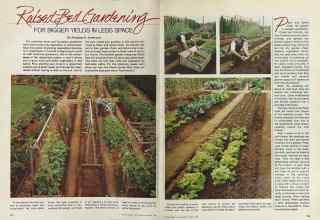 Better Homes & Gardens March 1981 Magazine Article: Raised-Bed Gardening FOR BIGGER YIELDS IN LESS SPACE