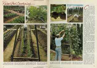 Better Homes & Gardens March 1981 Magazine Article: Page 94