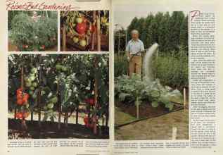 Better Homes & Gardens March 1981 Magazine Article: Page 96