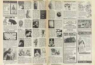 Better Homes & Gardens March 1981 Magazine Article: Page 164