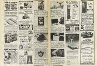 Better Homes & Gardens March 1981 Magazine Article: Page 166