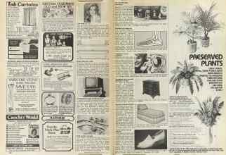 Better Homes & Gardens March 1981 Magazine Article: Page 168