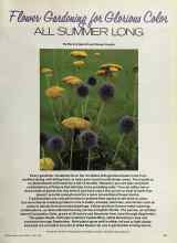 Better Homes & Gardens April 1981 Magazine Article: Flower Gardening for Glorious Color