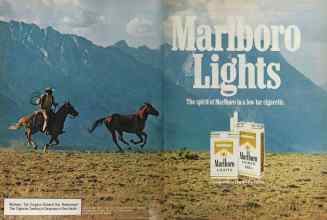 Better Homes & Gardens April 1981 Magazine Article: Page 46