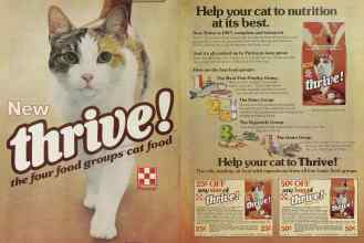 Better Homes & Gardens April 1981 Magazine Article: Page 64