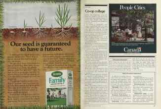 Better Homes & Gardens April 1981 Magazine Article: Page 74