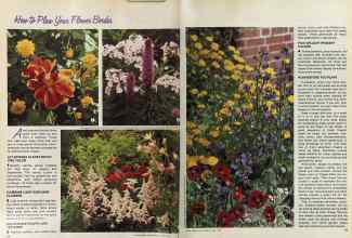 Better Homes & Gardens April 1981 Magazine Article: Page 114