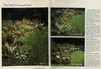 Better Homes & Gardens April 1981 Magazine Article: Page 116