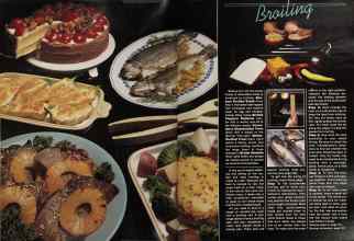 Better Homes & Gardens April 1981 Magazine Article: Page 134