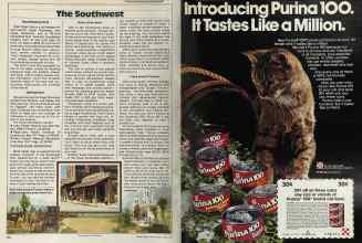 Better Homes & Gardens April 1981 Magazine Article: Page 170