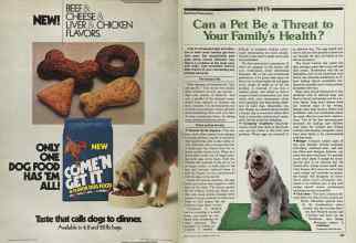 Better Homes & Gardens April 1981 Magazine Article: Page 182