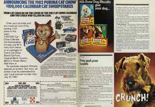 Better Homes & Gardens April 1981 Magazine Article: Page 184