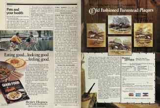 Better Homes & Gardens April 1981 Magazine Article: Page 186