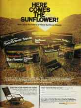 Better Homes & Gardens May 1981 Magazine Article: Page M9