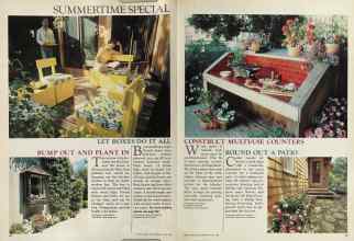 Better Homes & Gardens May 1981 Magazine Article: Page 42