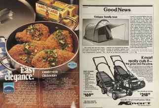 Better Homes & Gardens May 1981 Magazine Article: Page 74