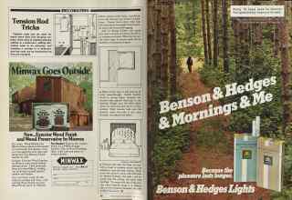 Better Homes & Gardens May 1981 Magazine Article: Page 88