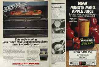 Better Homes & Gardens May 1981 Magazine Article: Page 126