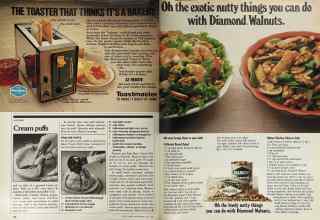 Better Homes & Gardens May 1981 Magazine Article: Page 138